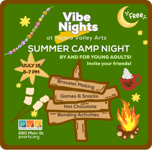 Vibe Nights: Summer Camp Night